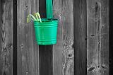 Flowerpot On A Fence_14829